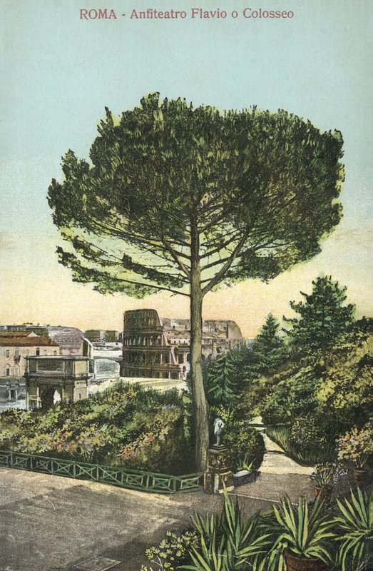 Rzym, Włochy, Amfiteatr i Koloseum (kolorowa litografia) autorstwa Italian School