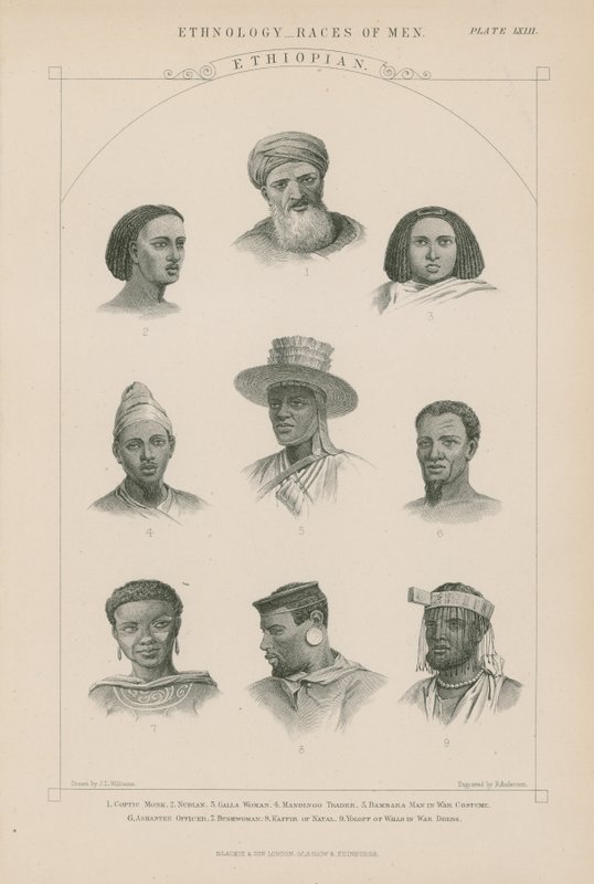 Dziewięć twarzy Etiopczyków autorstwa J.L. Williams