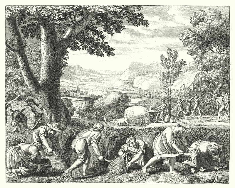 Scena żniw (grawerowanie) autorstwa Jacques Stella