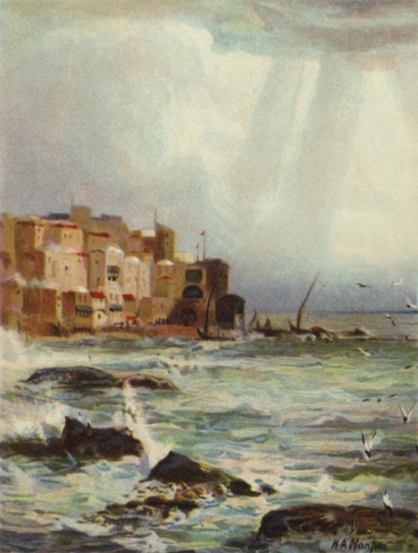 Joppa (kolor lito) autorstwa James (after) Clark