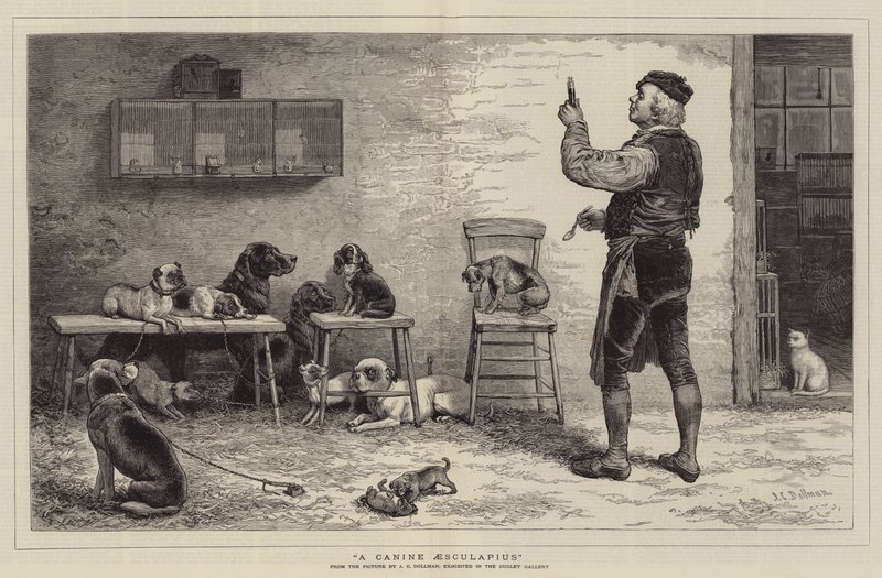 Psi Eskulap autorstwa John Charles Dollman