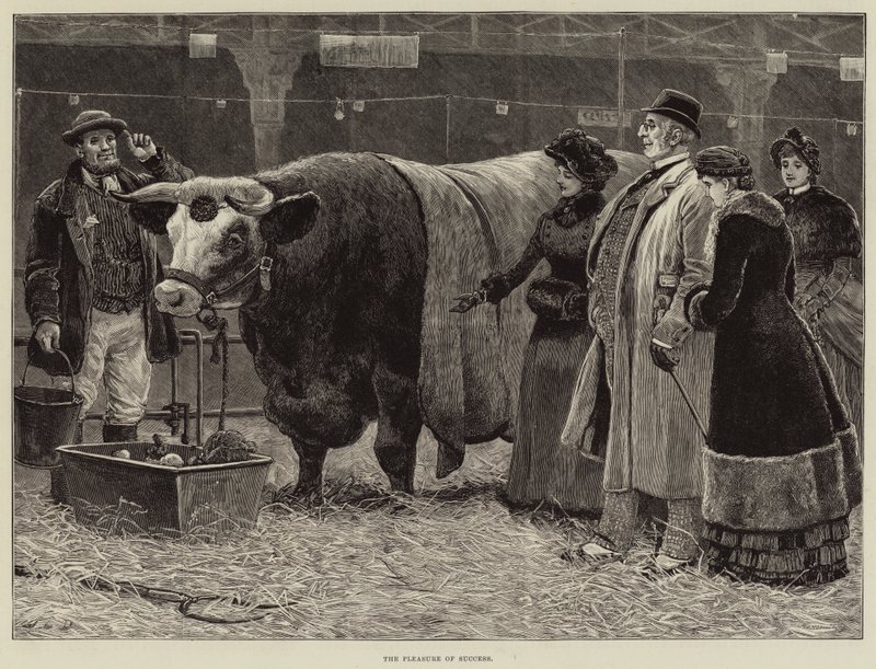 Przyjemność sukcesu autorstwa John Charles Dollman