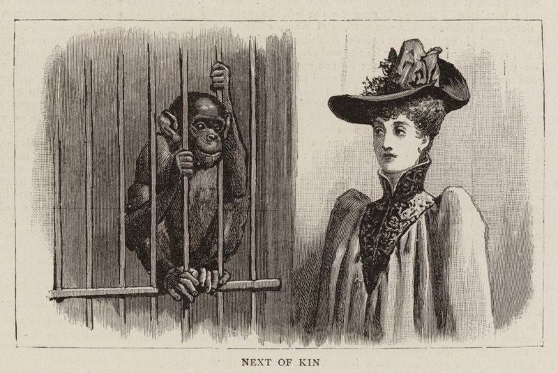 Wędrówki po zoo autorstwa John Charles Dollman
