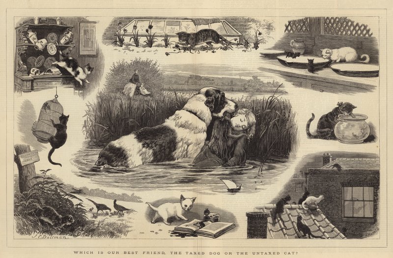 Który z nich jest naszym najlepszym przyjacielem, opodatkowany pies czy nieopodatkowany kot? autorstwa John Charles Dollman