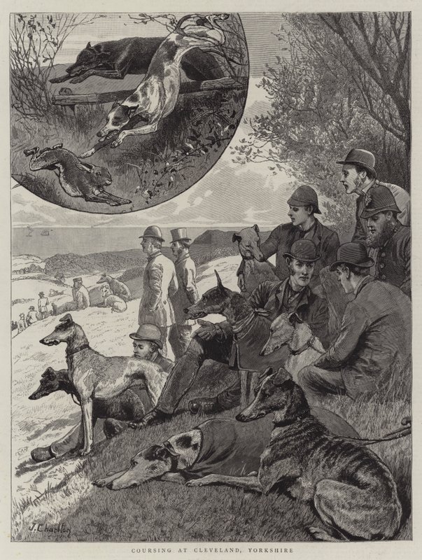 Coursing w Cleveland, Yorkshire autorstwa John Charlton
