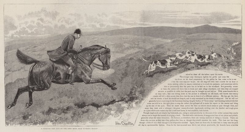 Pogoń za dzikim jeleniem na Exmoor autorstwa John Charlton