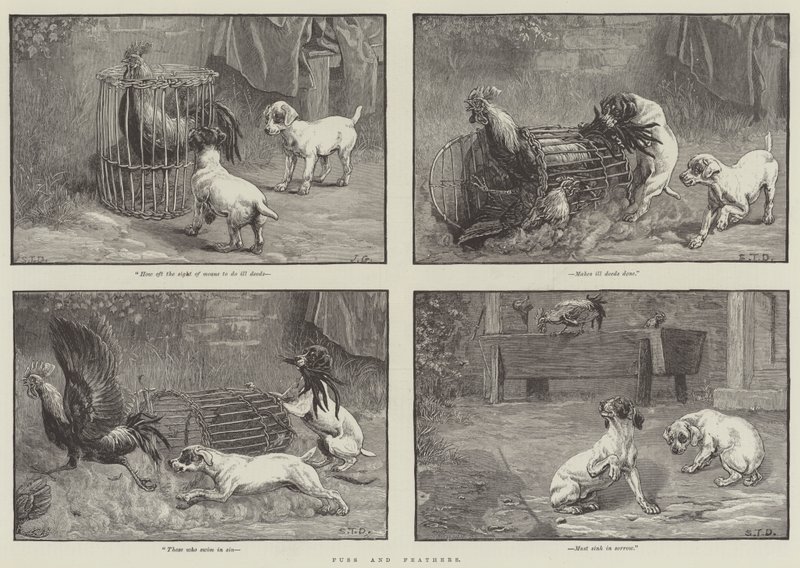 Zamieszanie i pióra autorstwa John Gilbert