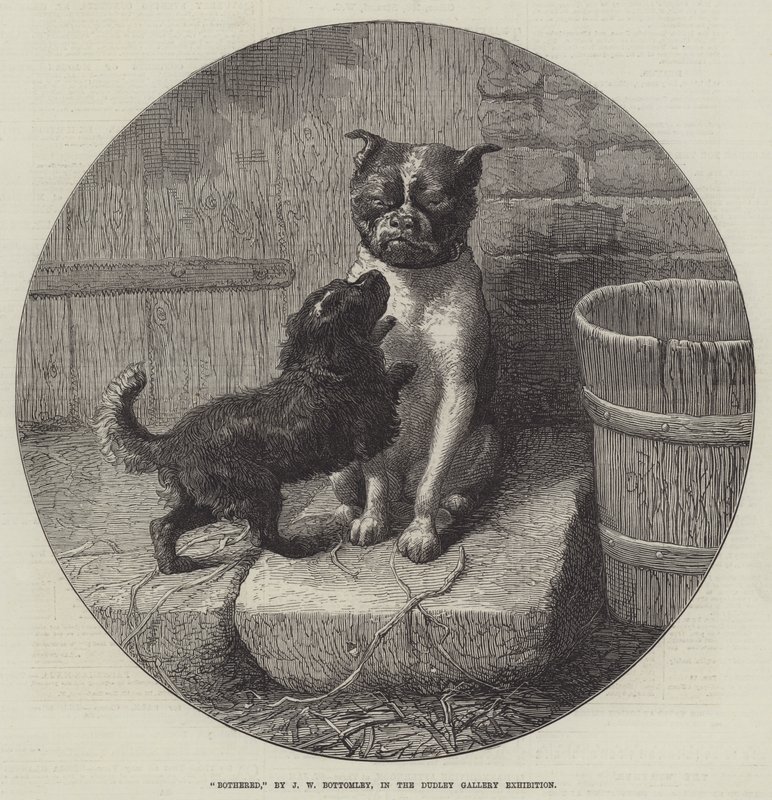 Zmartwiony autorstwa John William Bottomley
