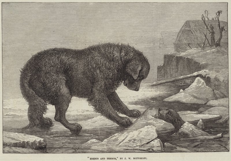 Erebus i Terror autorstwa John William Bottomley