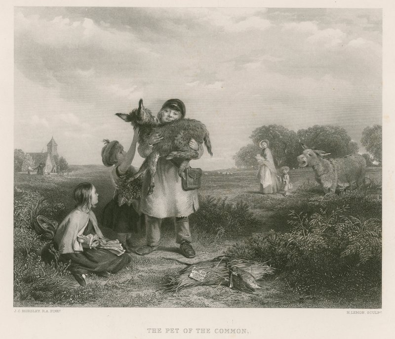 Zwierzak z Common autorstwa John Callcott Horsley