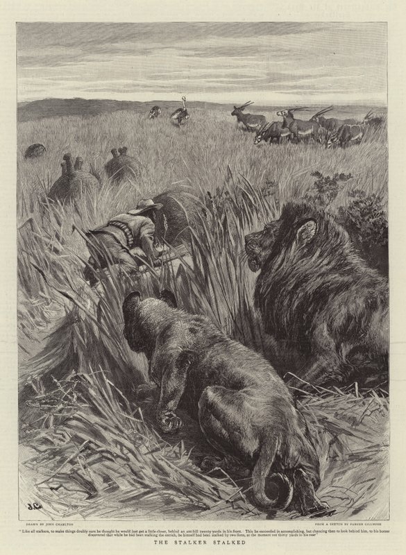 Stalker śledził autorstwa John Charlton