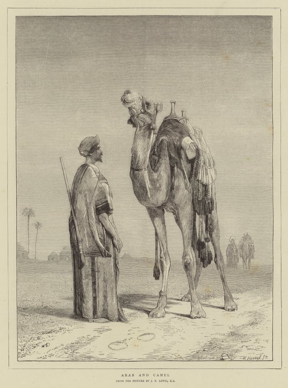 Arab i wielbłąd autorstwa John Frederick Lewis