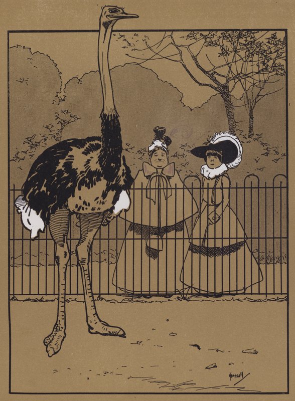 Strusie pióra (kolor lito) autorstwa John Hassall