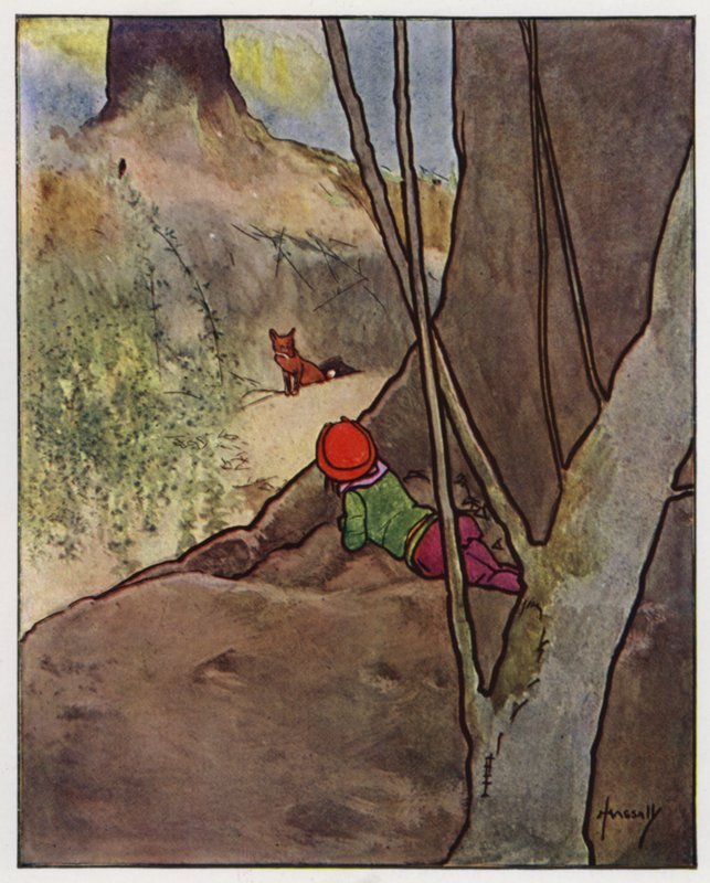 Lis (kolor lito) autorstwa John Hassall