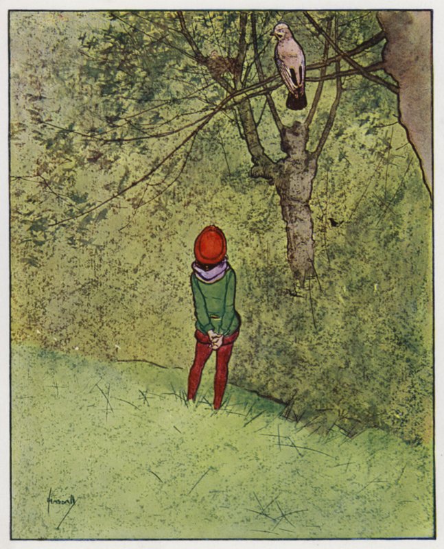 Sójka (kolor lito) autorstwa John Hassall