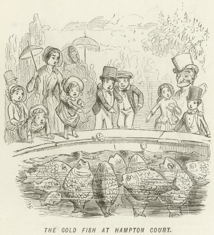 Złota Rybka w Hampton Court autorstwa John Leech