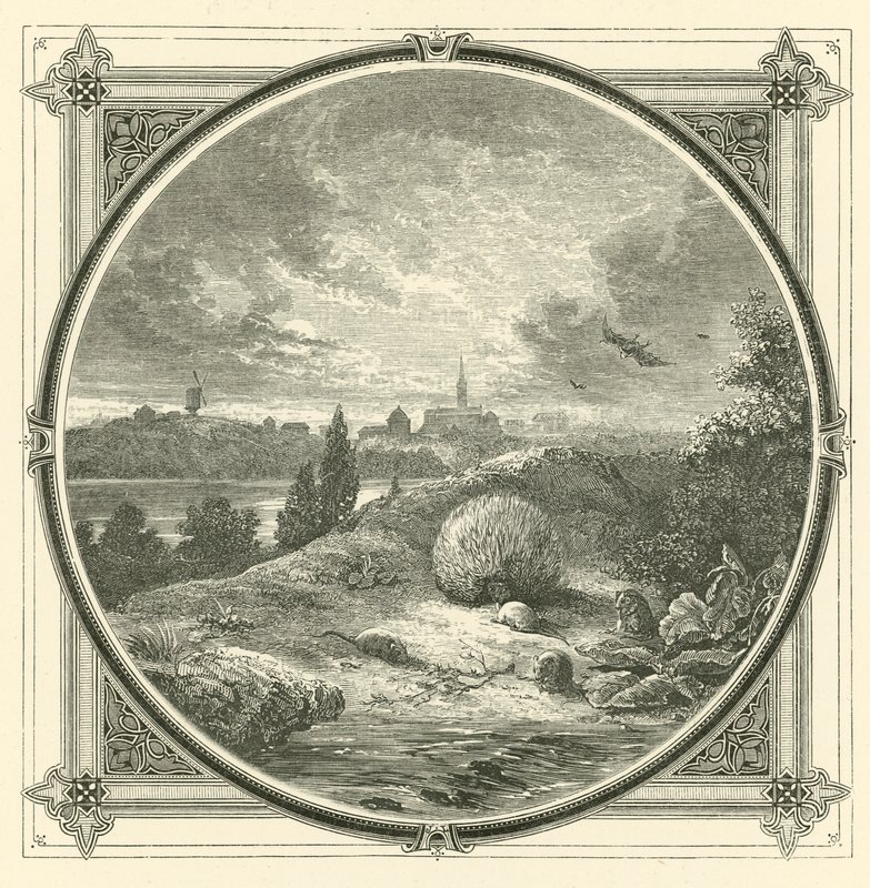 Graj, ale czysto (grawerunek) autorstwa John Leighton