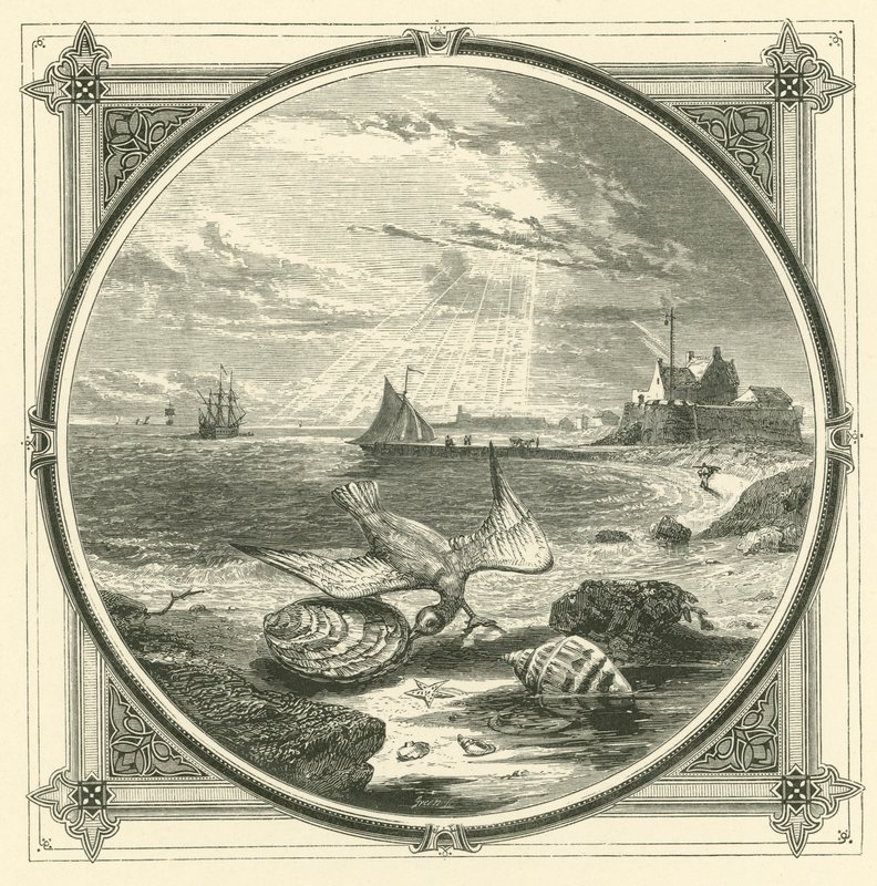 Nadgryziony ugryziony (grawerunek) autorstwa John Leighton