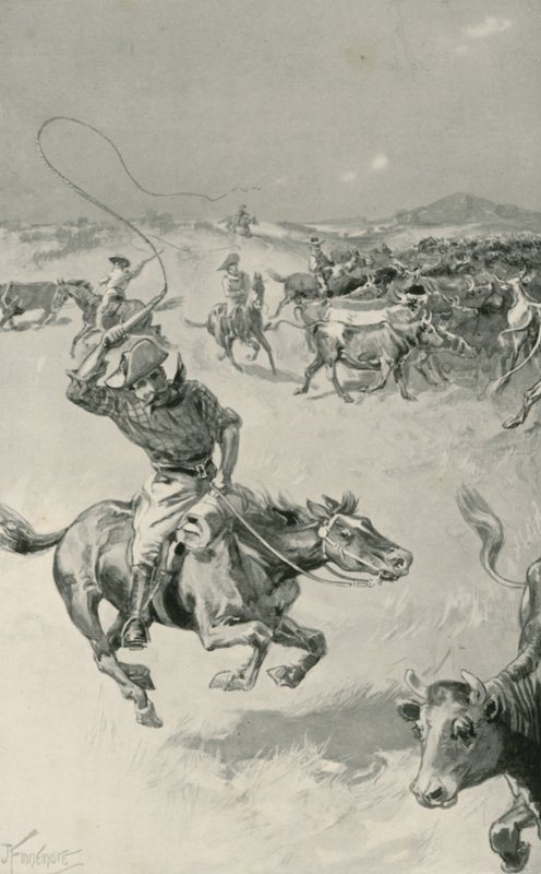 Zbieranie bydła w Queensland autorstwa Joseph Finnemore