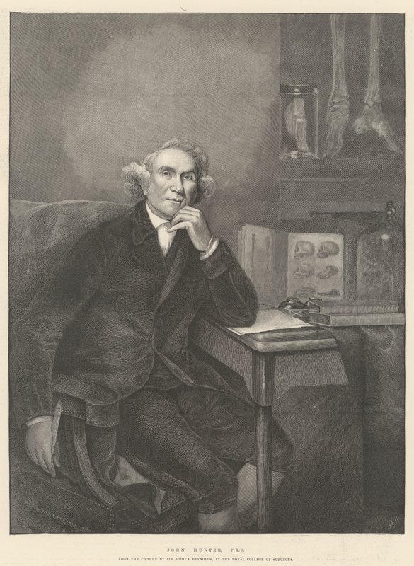 John Hunter, FRS autorstwa Joshua Reynolds