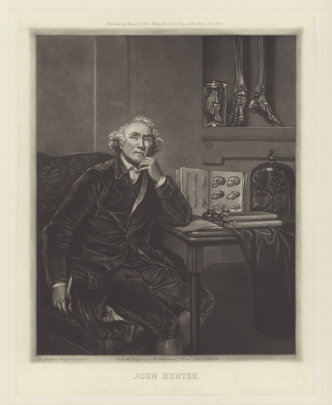 John Hunter, szkocki chirurg autorstwa Joshua Reynolds