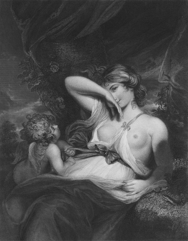 Wąż w trawie autorstwa Joshua after Reynolds