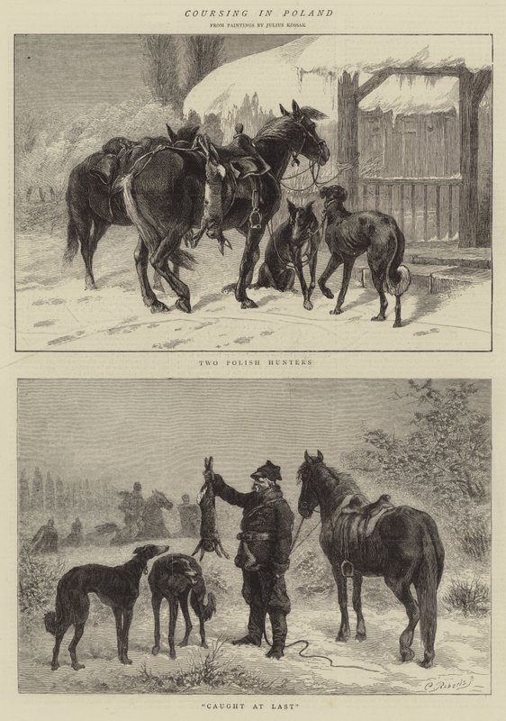 Coursing w Polsce autorstwa Juliusz Fortunat Kossak