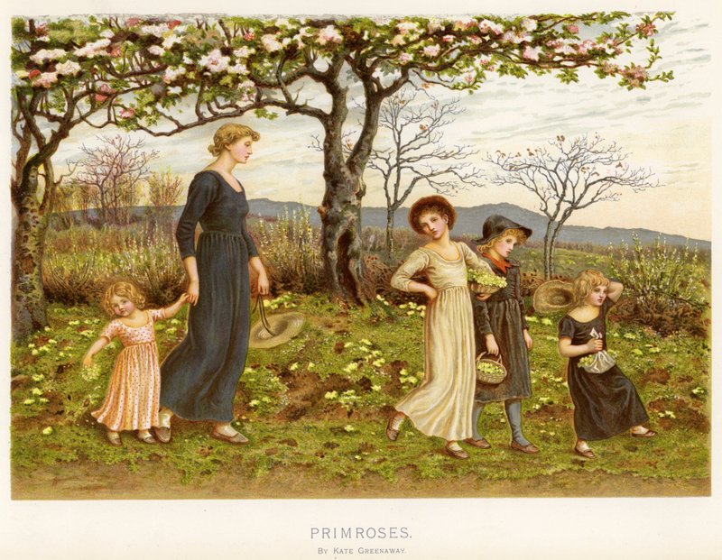 Pierwiosnki (chromolitho) autorstwa Kate Greenaway