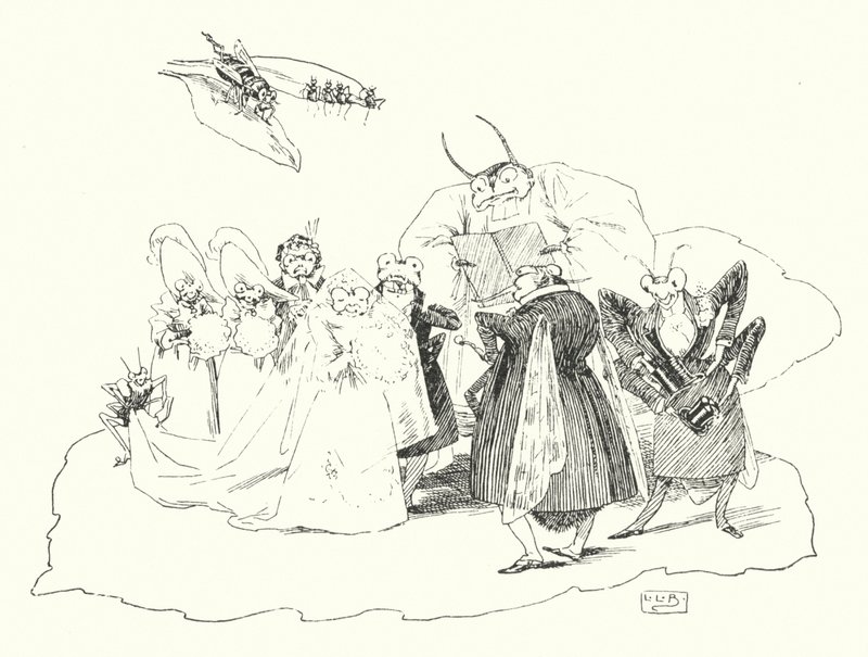skrzypce, skrzypce (grawerowanie) autorstwa Leonard Leslie Brooke