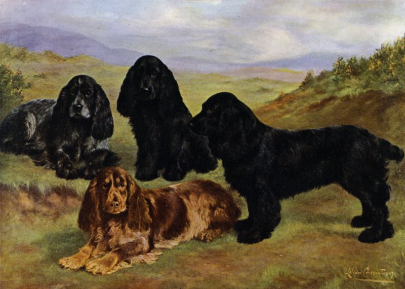 Cocker spaniele autorstwa Lilian Cheviot