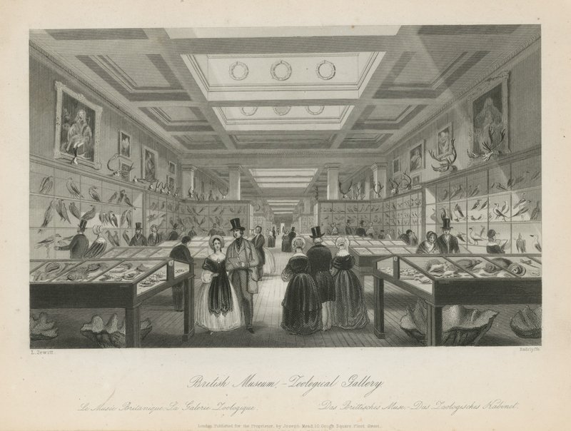 Pokój Zoologiczny w British Museum autorstwa Llewellyn Jewitt