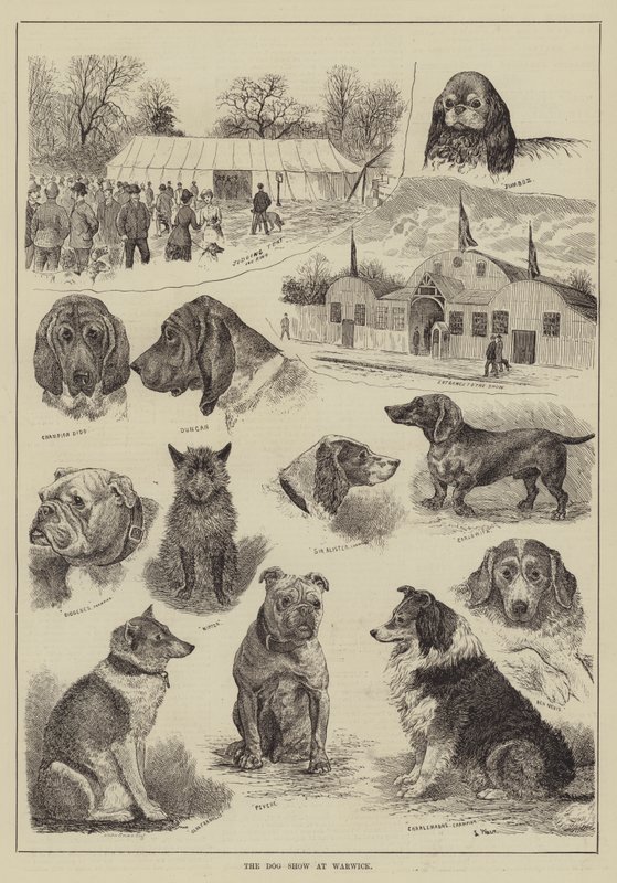 Wystawa w Warwick autorstwa Louis Wain