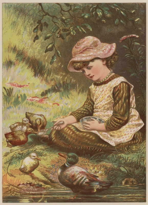 Dziewczynka karmiąca kaczątka (chromolitho) autorstwa Mary Ellen Edwards