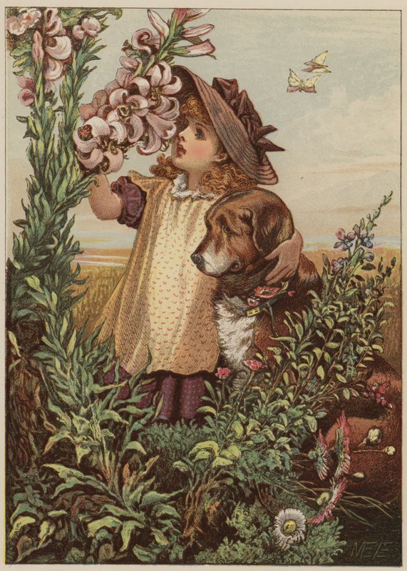 Dziewczyna z psem pachnącym kwiatami (chromolitho) autorstwa Mary Ellen Edwards