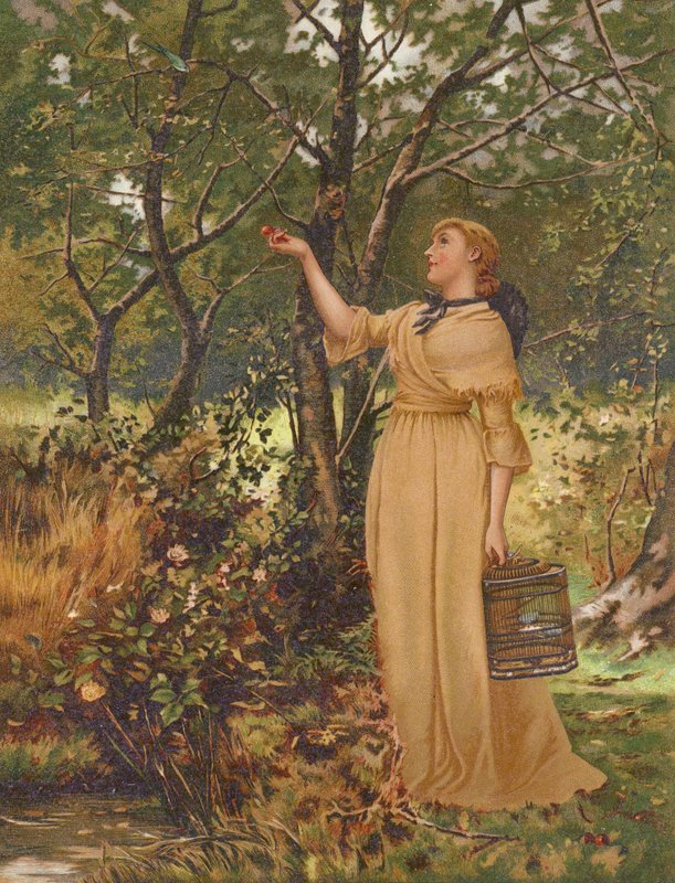 Wagarowicz (chromolitho) autorstwa Mary Ellen Edwards