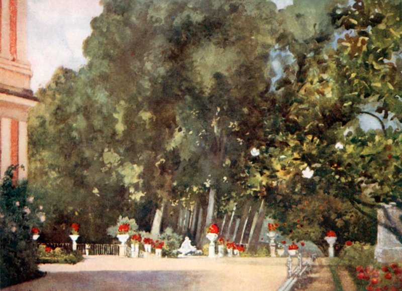 Drzewo magnolii, Aranjuez autorstwa Mima Nixon