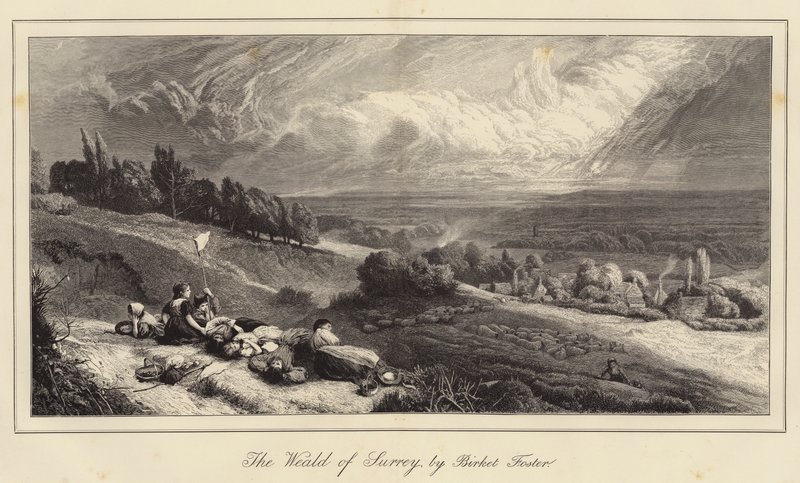 Las Surrey autorstwa Myles Birket Foster