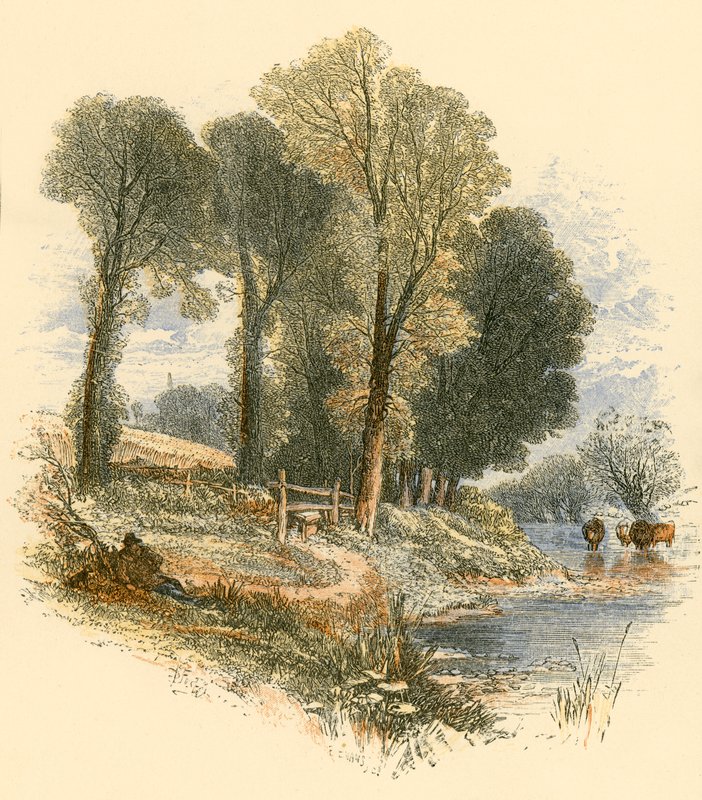 یکشنبه واکسپولي autorstwa Myles Birket Foster