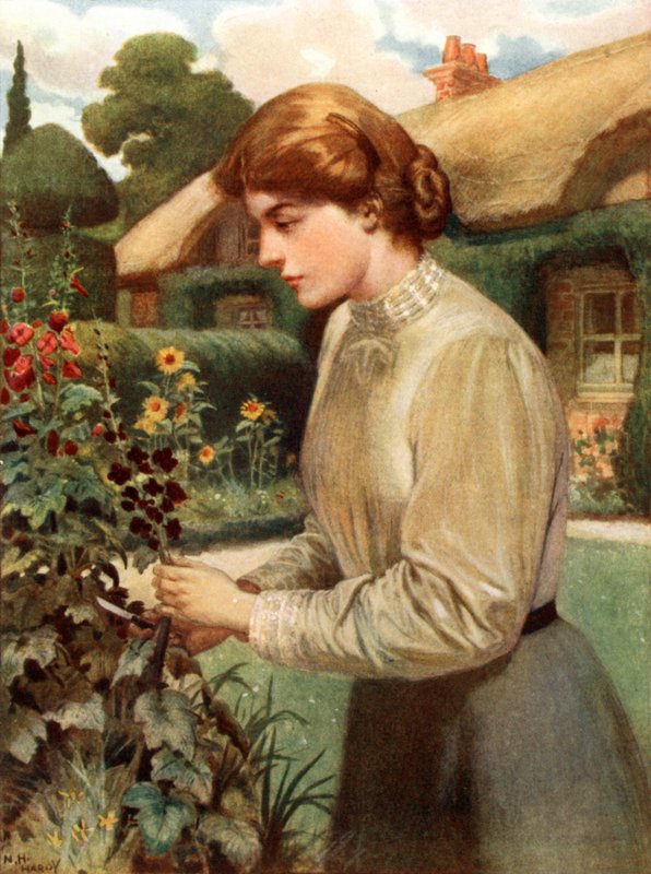 Angielska dziewczyna autorstwa Norman Hardy