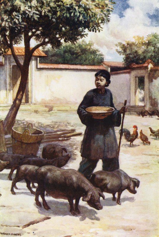 Chiny: dziedziniec (kolor lito) autorstwa Norman Hardy