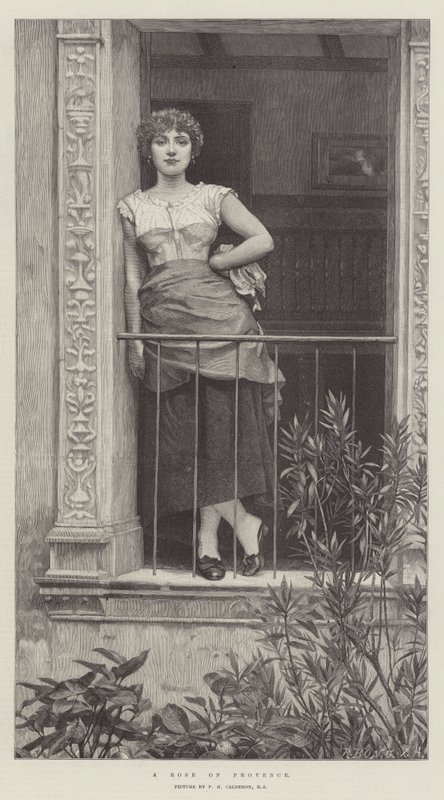 Róża Prowansji autorstwa Philip Hermogenes Calderon