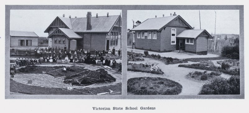 Victorian State School Gardens (zdjęcie czarno-białe) autorstwa Photographer Australian