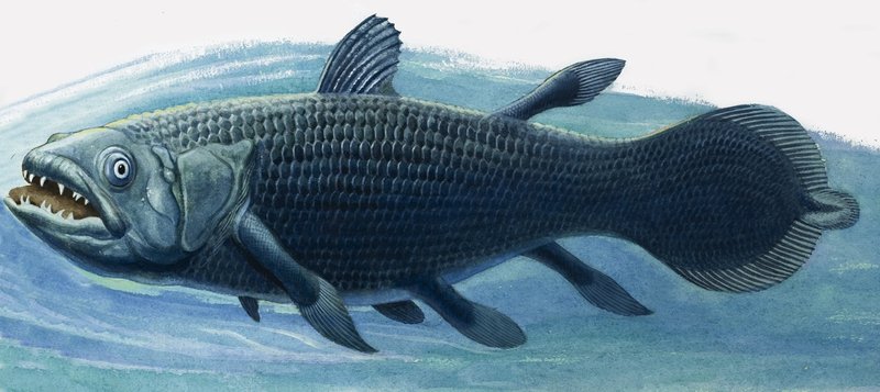 Coelacanth autorstwa R.B. Davis