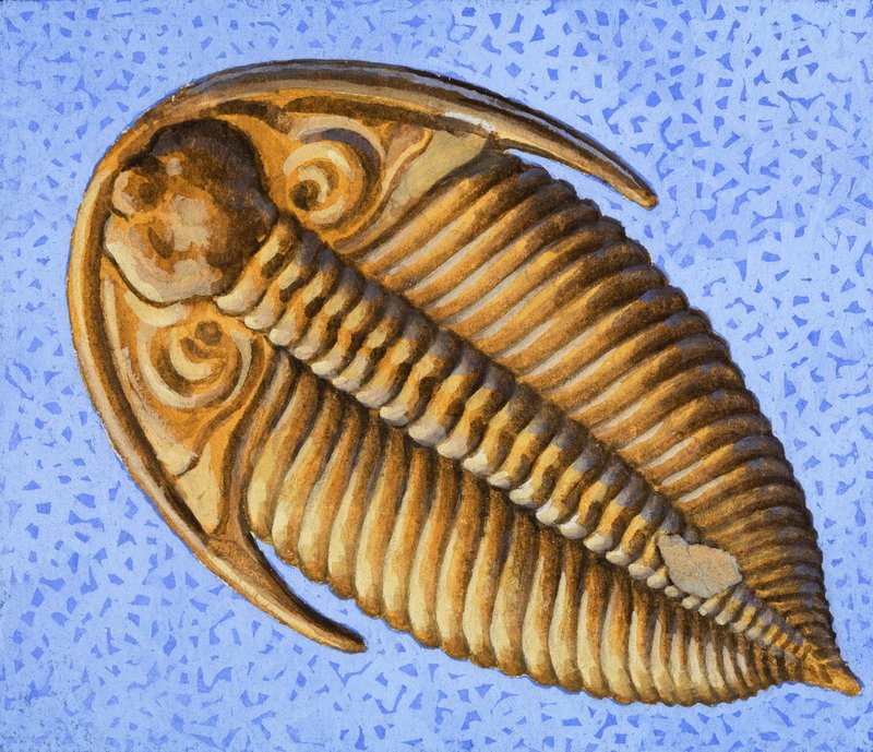 Skamielina autorstwa R.B. Davis