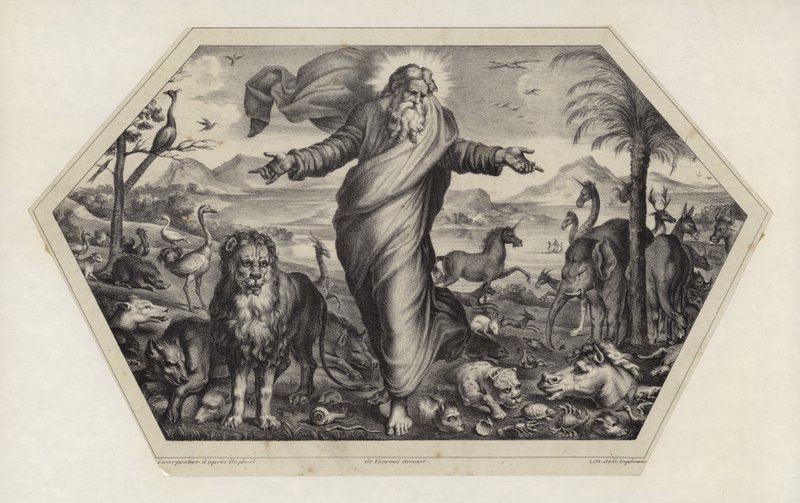 Stworzenie zwierząt autorstwa Raffaello Sanzio Raphael