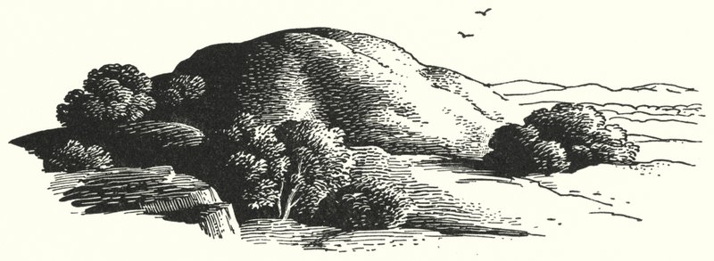 Hans Christian Andersen: Góra elfów (lito) autorstwa Rex (after) Whistler