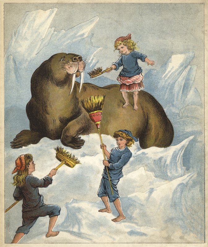 Czyszczenie zębów morsa (chromolitho) autorstwa Richard Andre