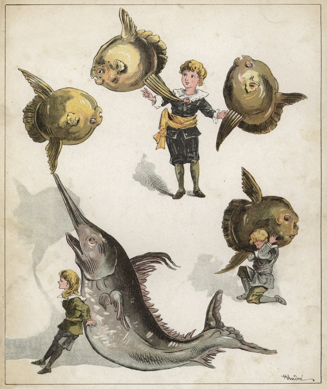 Gimnastyka ryb (chromolitho) autorstwa Richard Andre