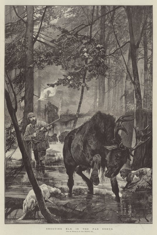 Strzelanie do łosia na dalekiej północy autorstwa Richard Caton Woodville junior