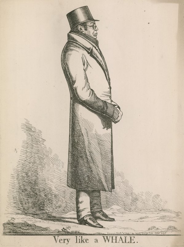 pan Hibers; Bardzo jak wieloryb autorstwa Richard Dighton
